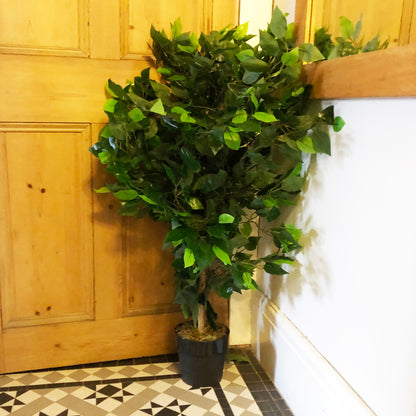 Artificial Ficus Bush Tree | Ficus Bush Tree | Everlasting Greenery Co.