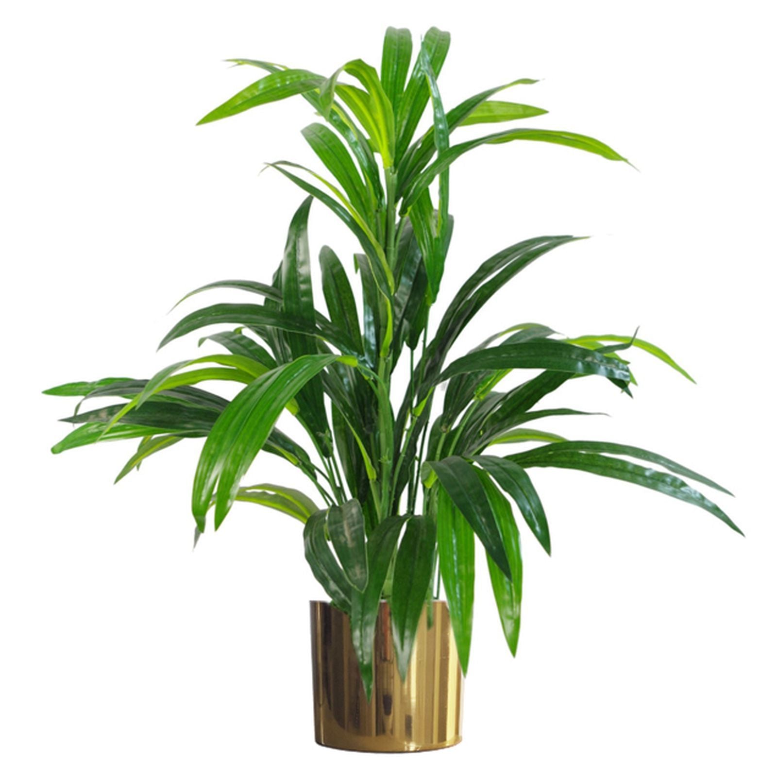 Faux Bamboo Tree | Bamboo Shrub Plant | Everlasting Greenery Co.