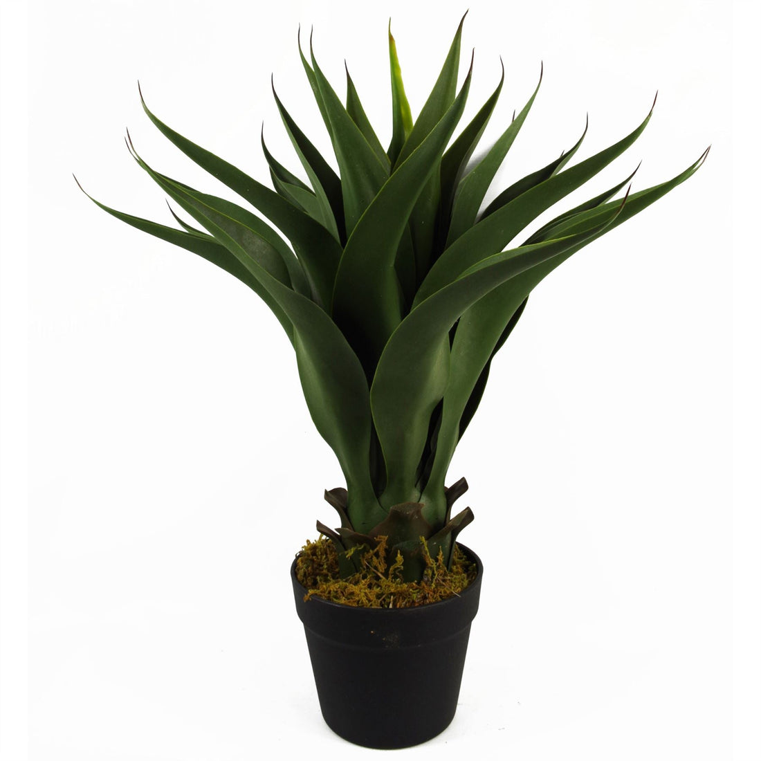 Artificial Yukka Tropical House Plant Plastic Pot 55cm Faux House Plants Botanik-0