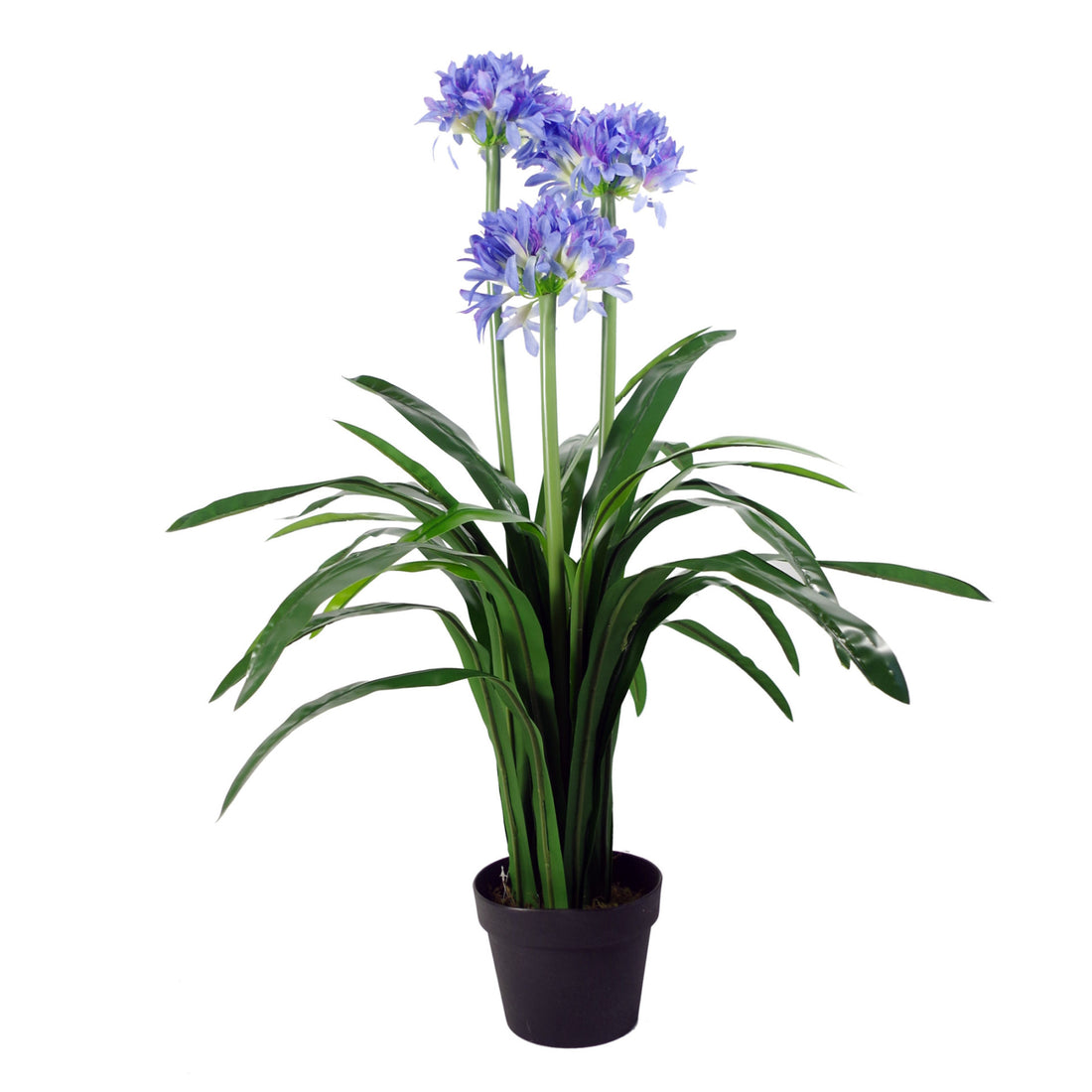 Artificial Agapanthus Plant | Blossom Plant | Everlasting Greenery Co.