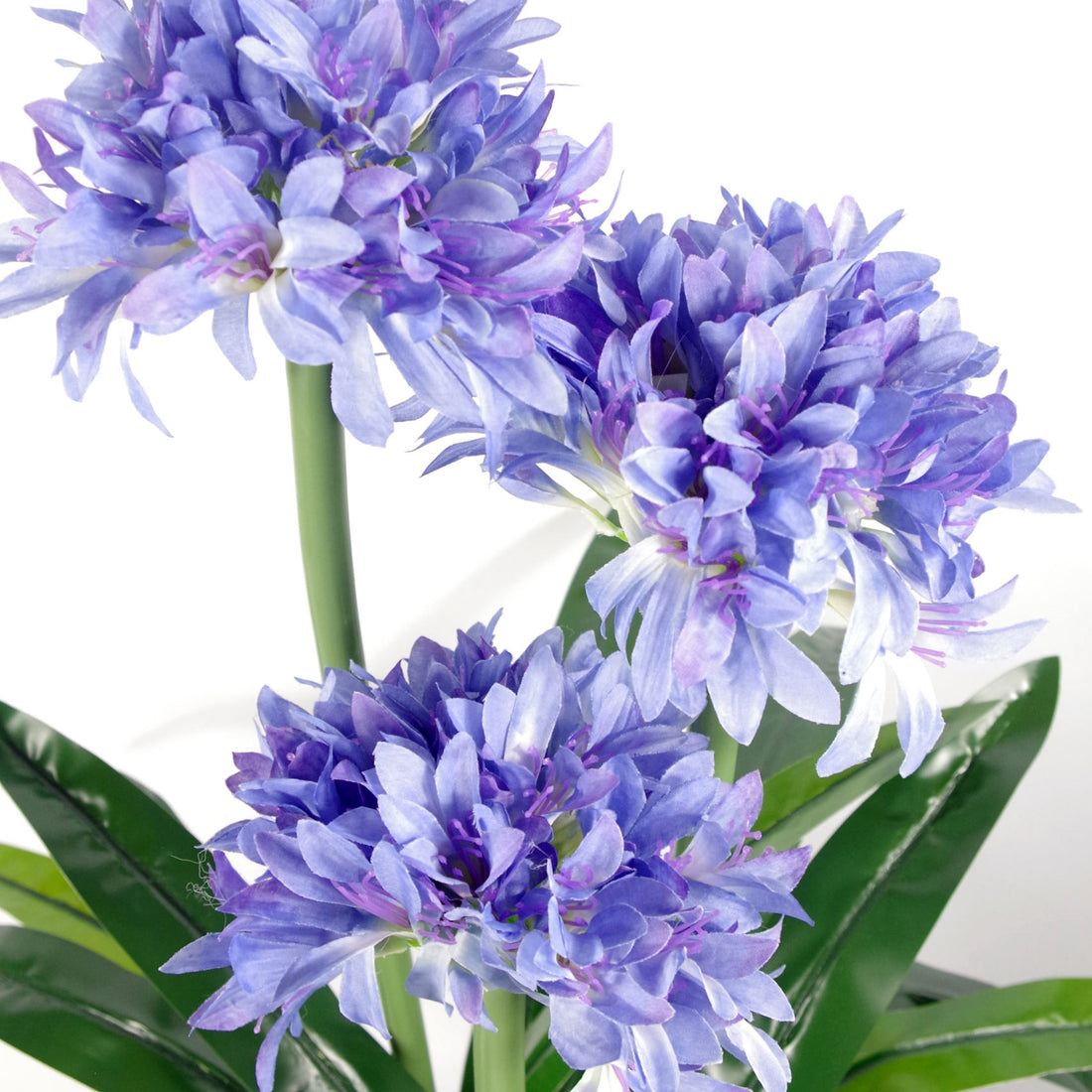 Artificial Agapanthus Plant | Blossom Plant | Everlasting Greenery Co.