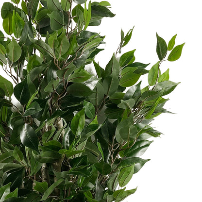 Artificial Ficus Tree | Fake Ficus Tree | Everlasting Greenery Co.