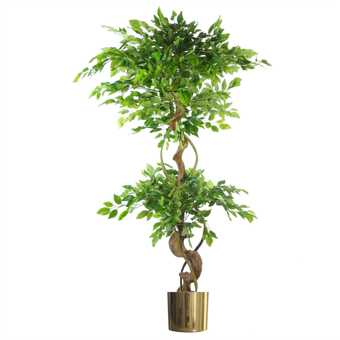 Japanese Fruticosa Ficus Tree Gold Planter 150cm Twisted Trunk Artificial Botanik-0
