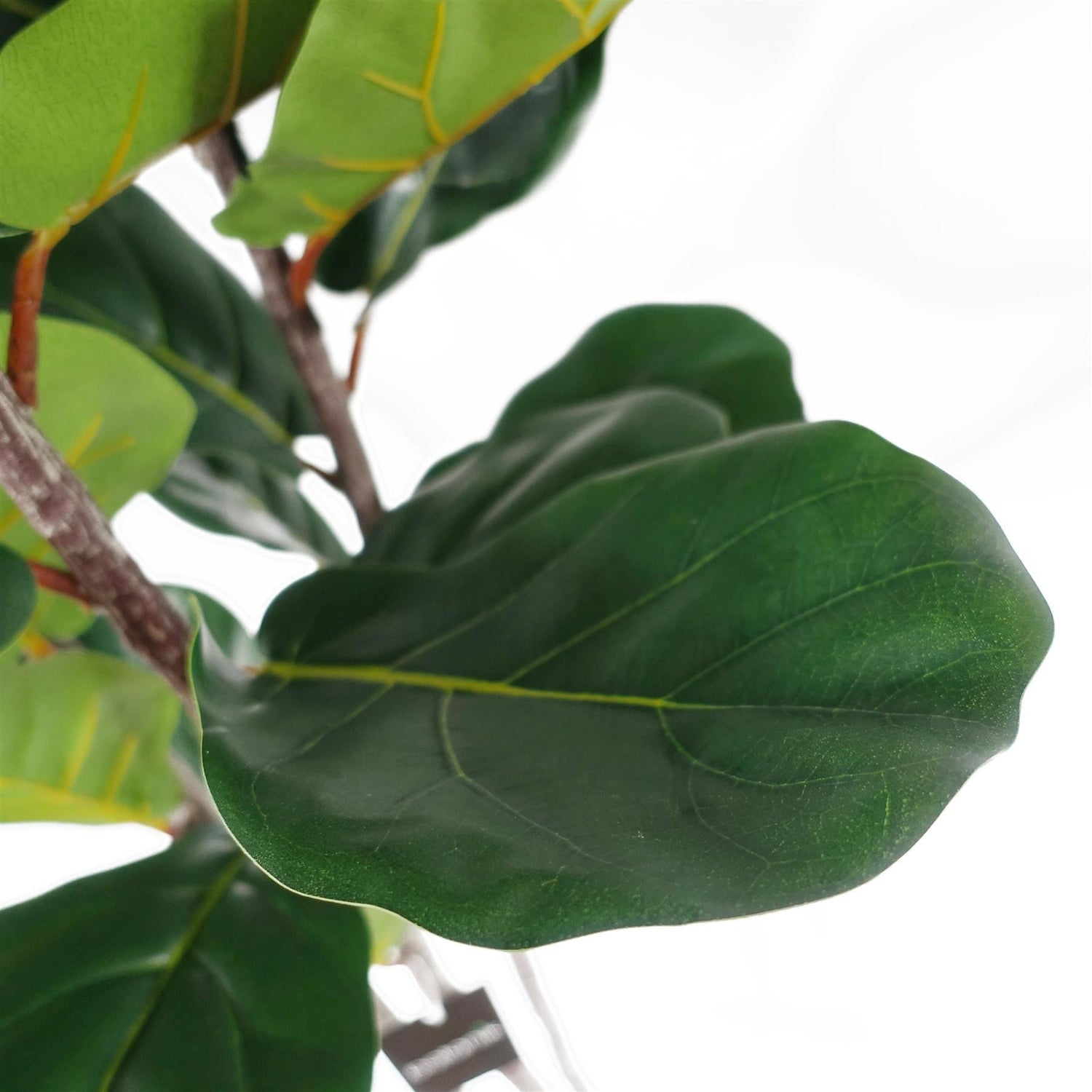 Large Fiddle Fig Tree Artificial 120cm Premium Plant-1