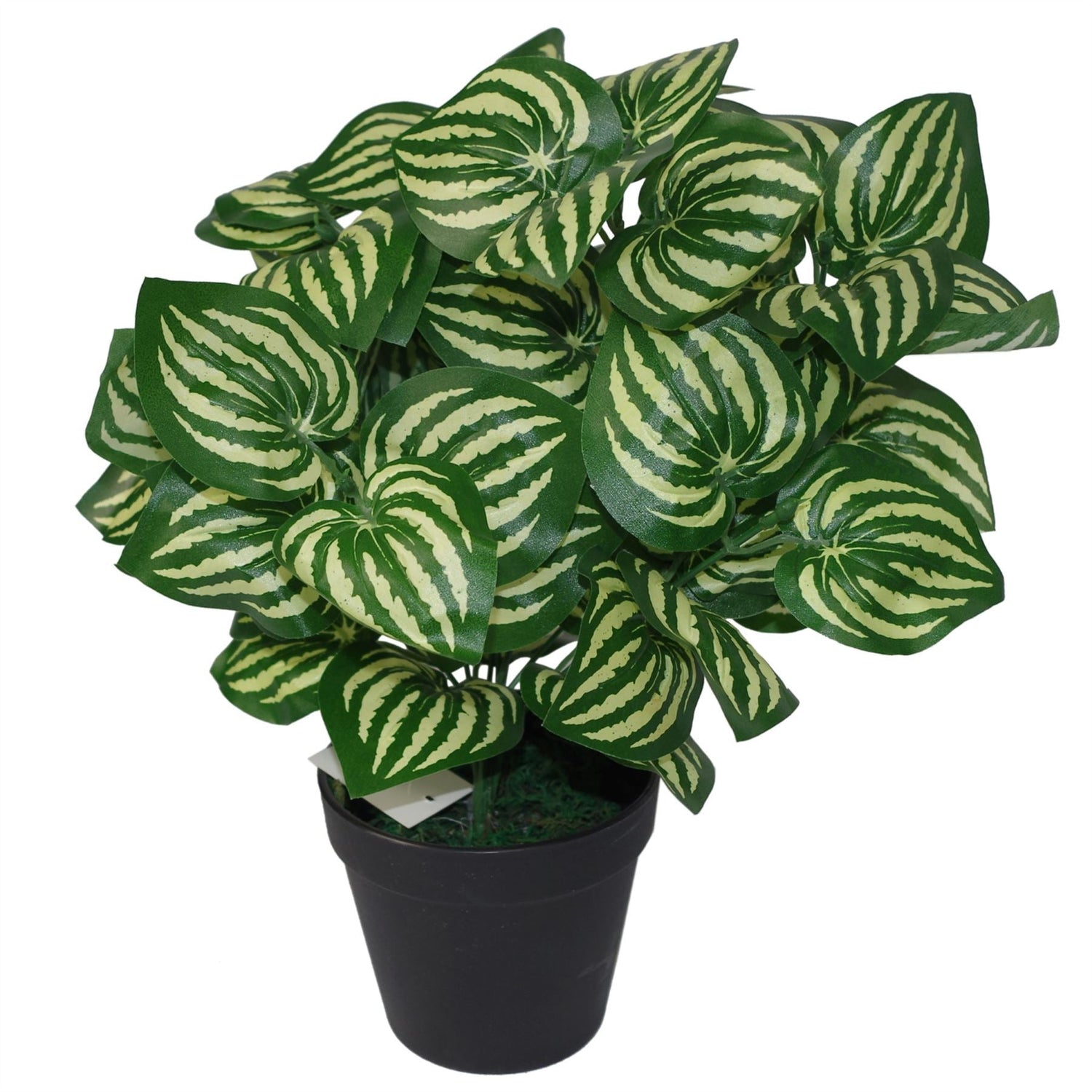 Artificial Foliage Plant Pot 40cm Watermelon Plants-2