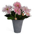 Pink Daisy Flowers Plant Plant Artificial-0