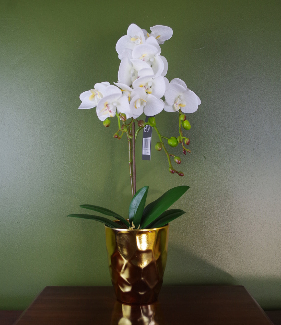 Artificial Orchid Flowers | Orchid Plant | Everlasting Greenery Co.