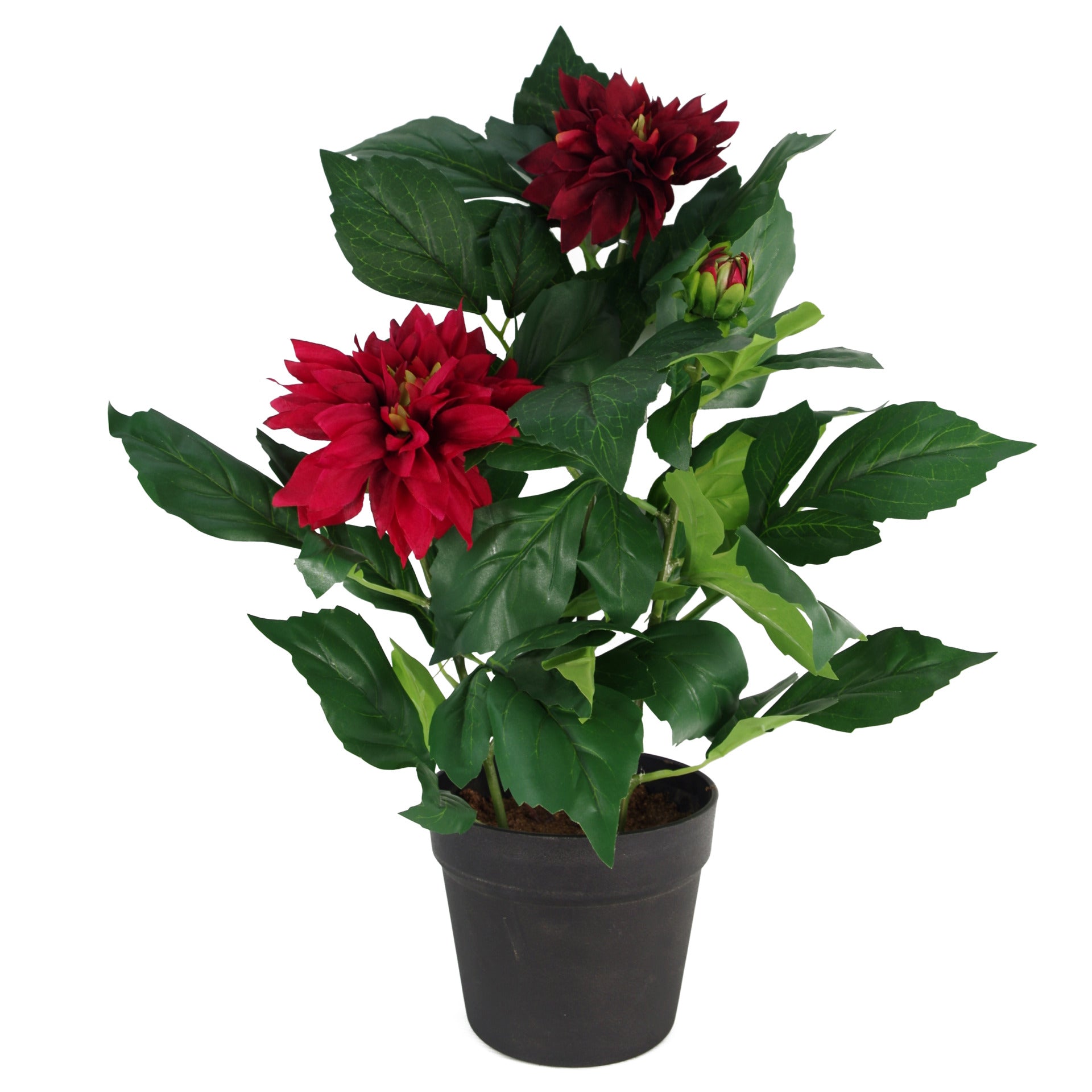 Artificial Dahlia Plant | Faux Dahlia Plant | Everlasting Greenery Co.