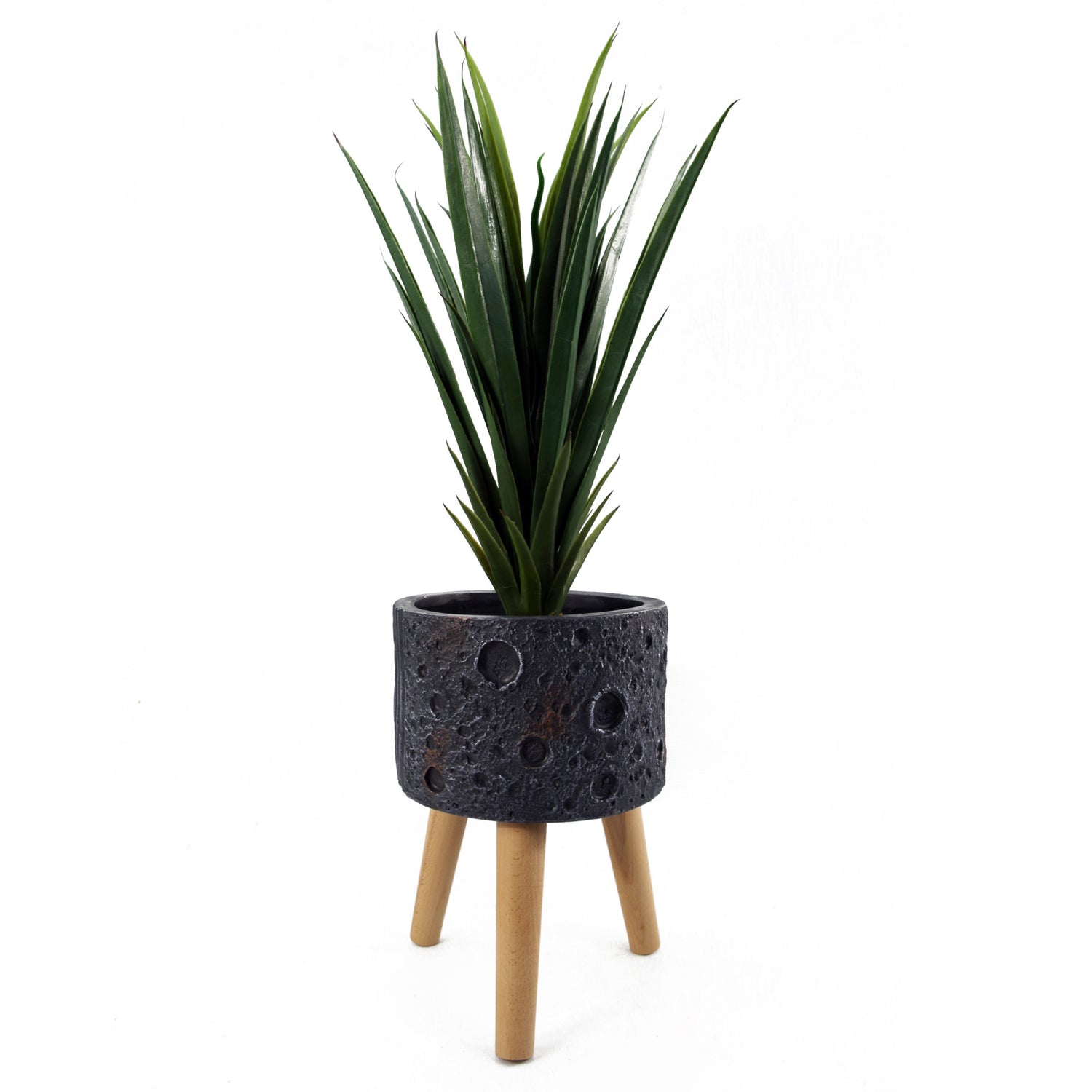 Black Lunar Planter | Best Lunar Planter | Everlasting Greenery Co