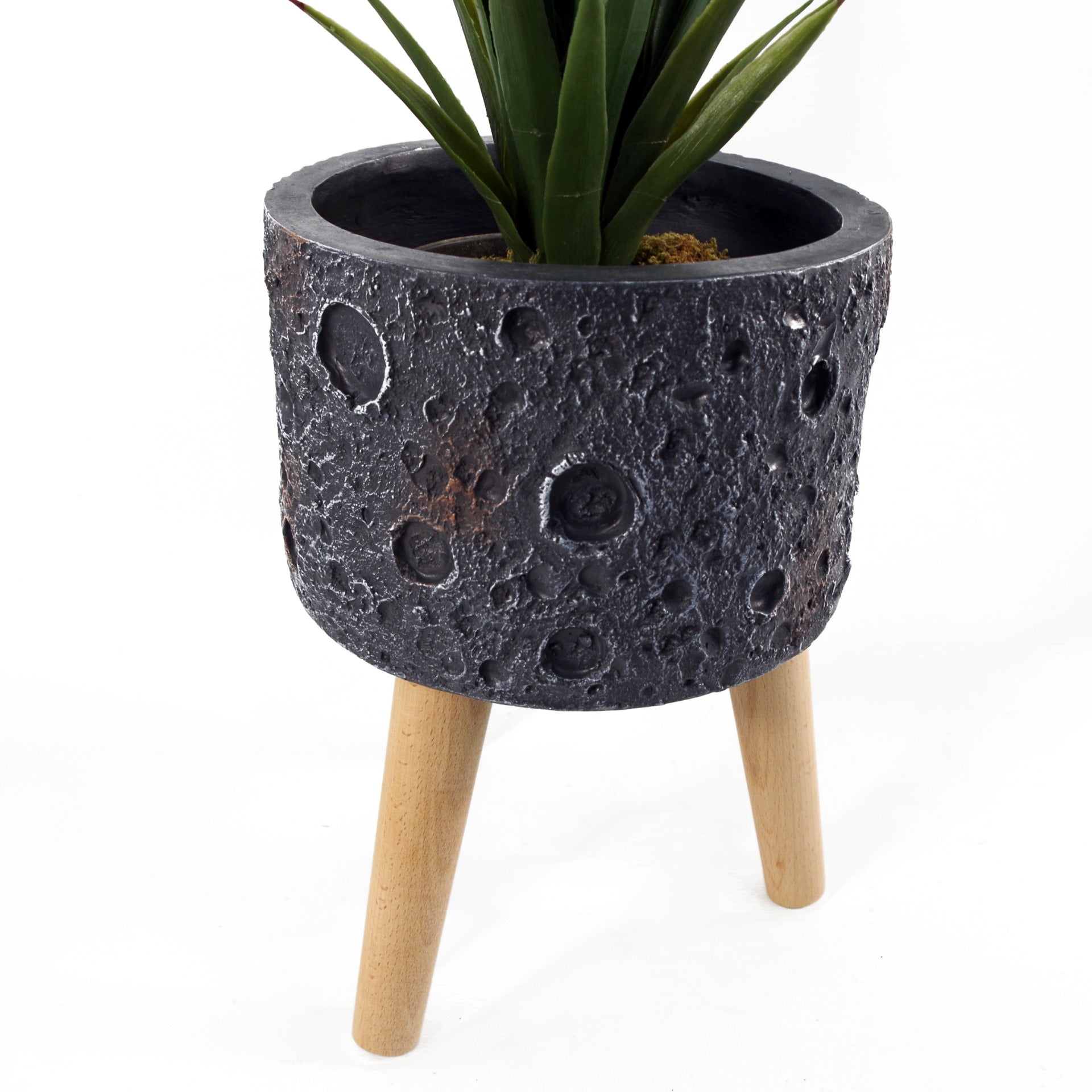 Black Lunar Planter | Best Lunar Planter | Everlasting Greenery Co