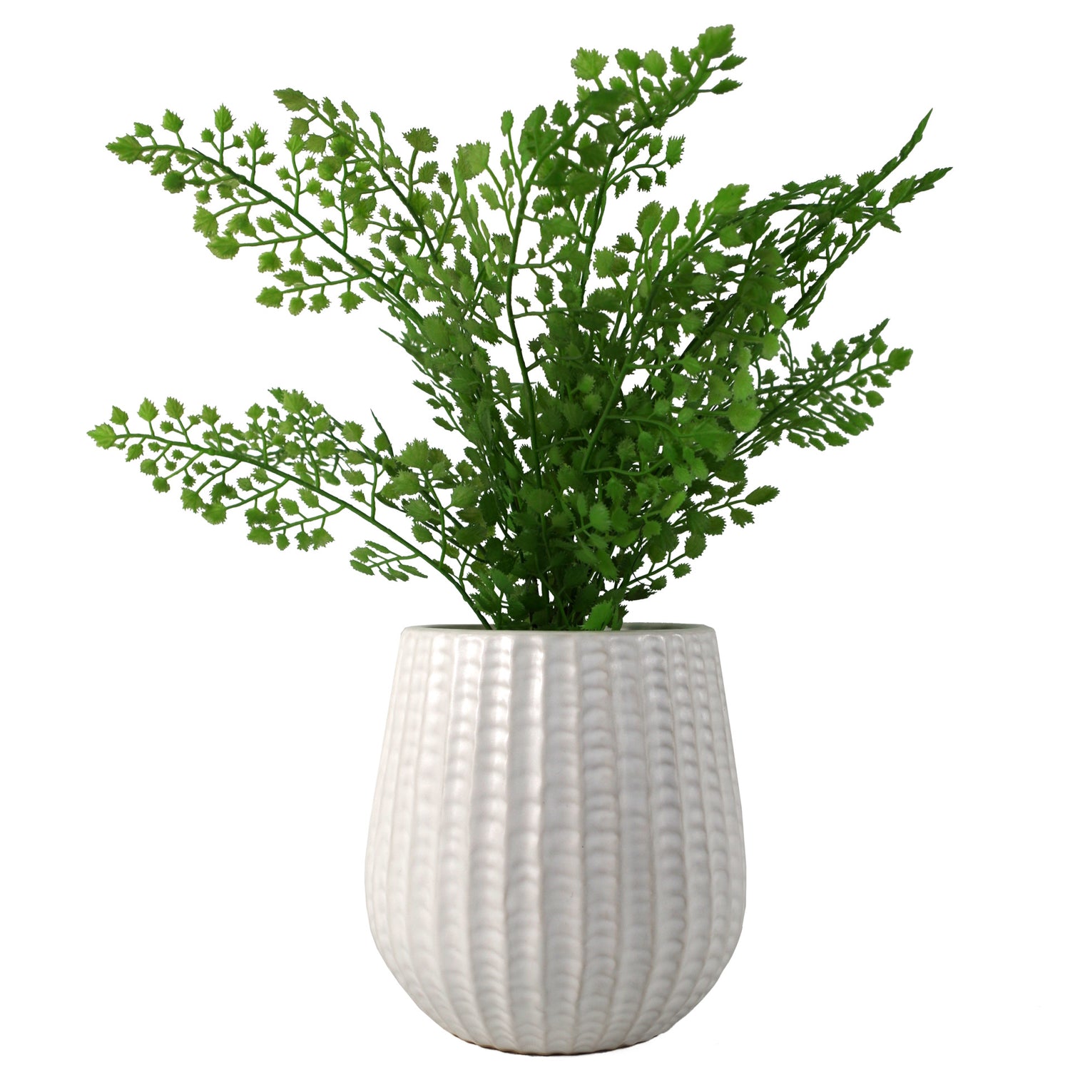 White Ceramic Planter | White Ceramic Pot | Everlasting Greenery Co