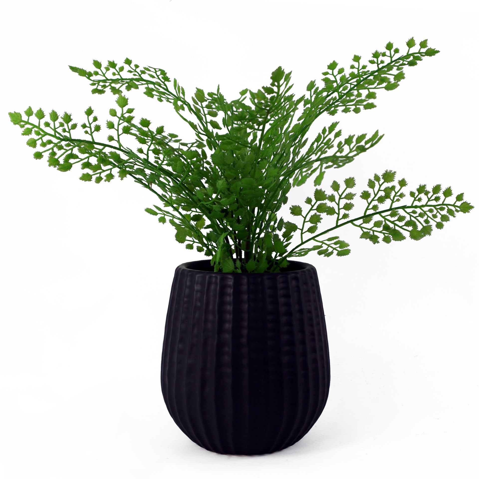 Black Ceramic Planter | Ceramic Planter | Everlasting Greenery Co.