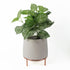 White Planter with Stand | Metal Plant Stand | Everlasting Greenery Co