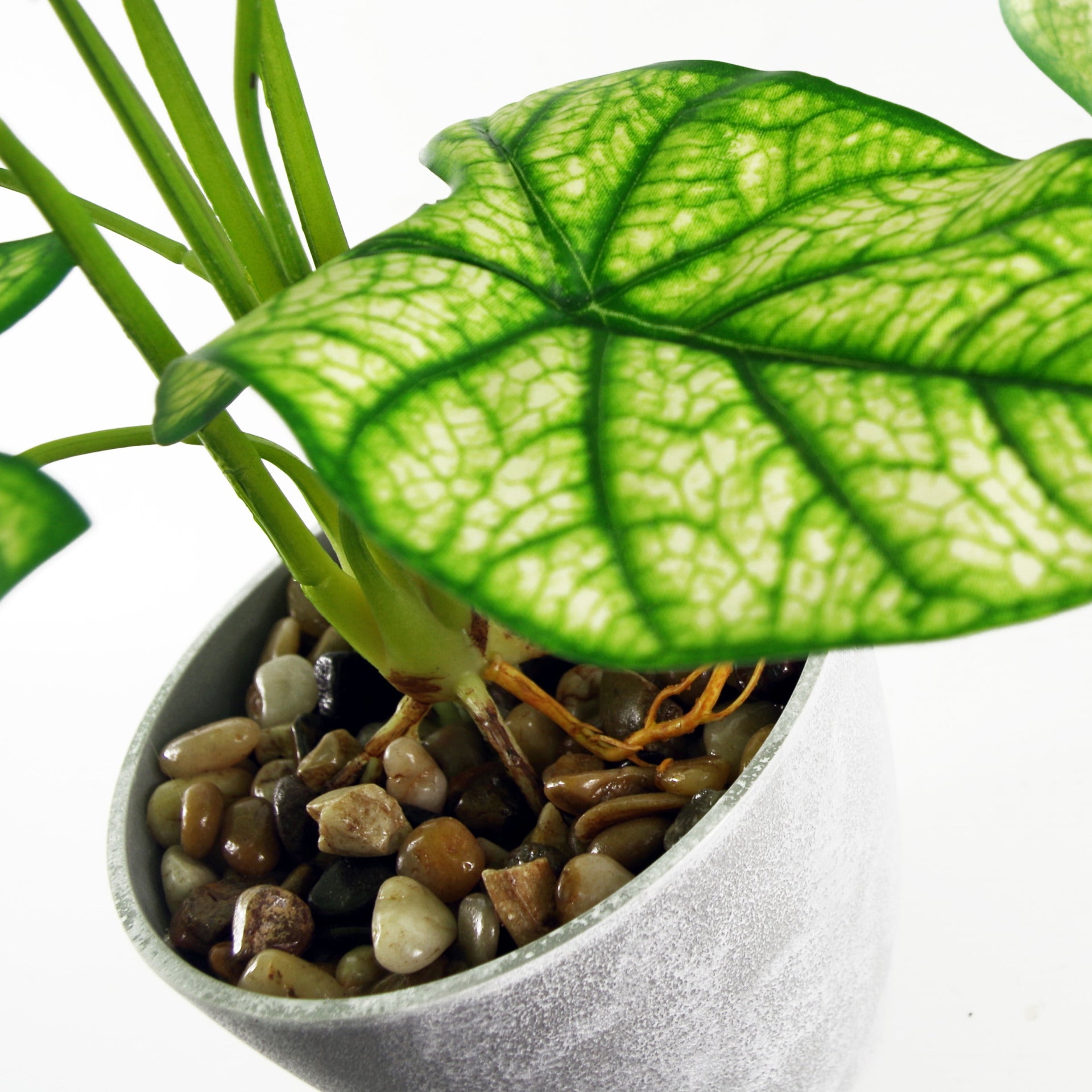 Artificial Taro Plant | Fake Taro Plant | Everlasting Greenery Co.