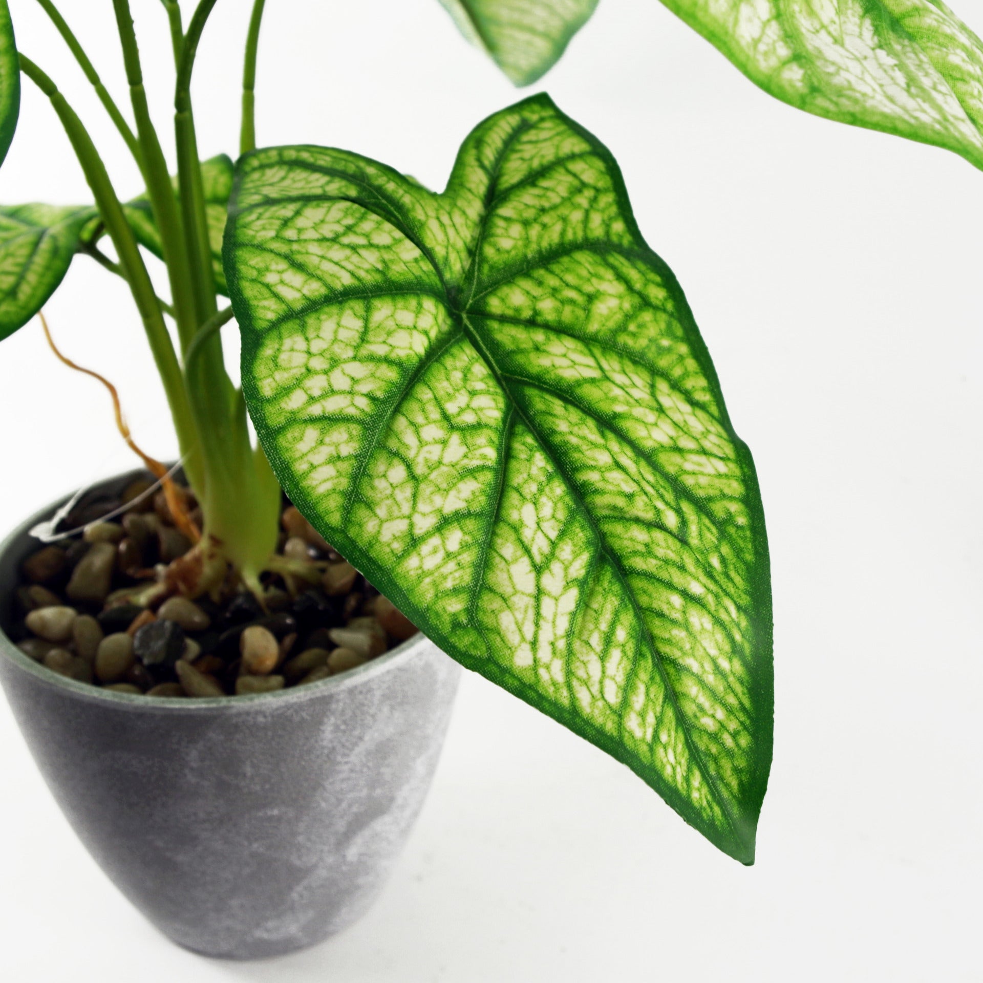 Artificial Taro Plant | Fake Taro Plant | Everlasting Greenery Co.