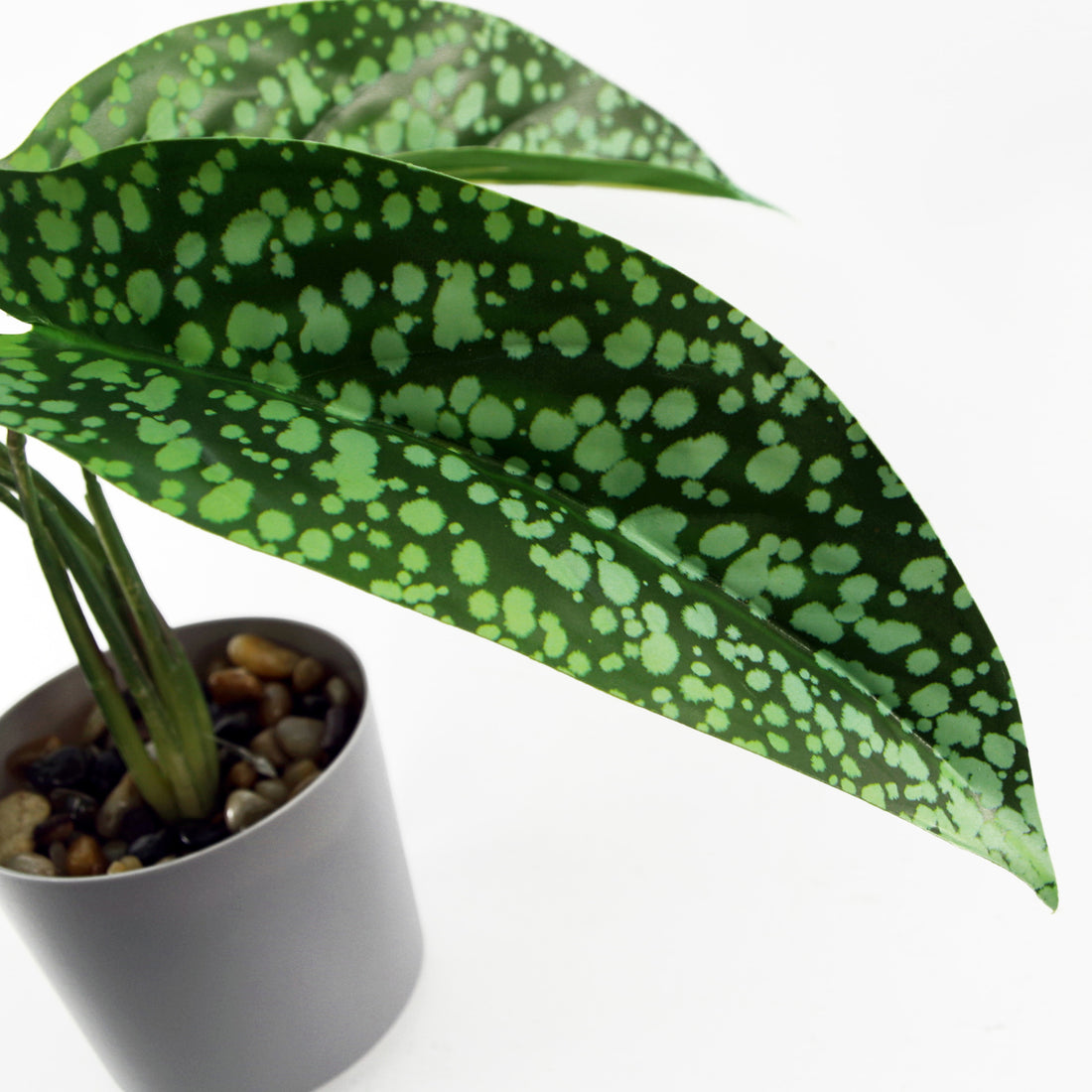 Artificial Spotted Plant | Spotted Plant | Everlasting Greenery Co.