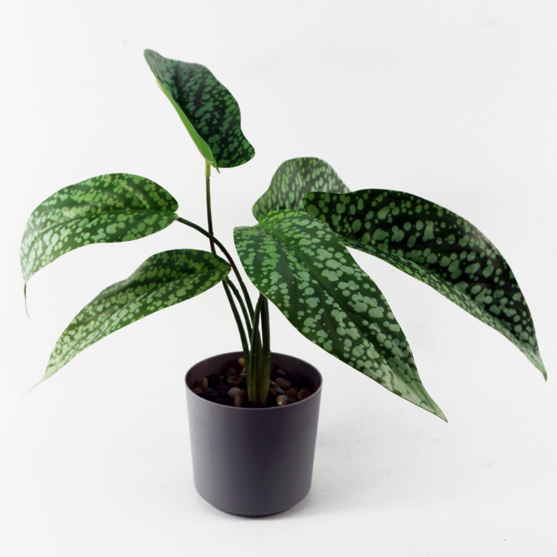 Artificial Spotted Plant | Spotted Plant | Everlasting Greenery Co.