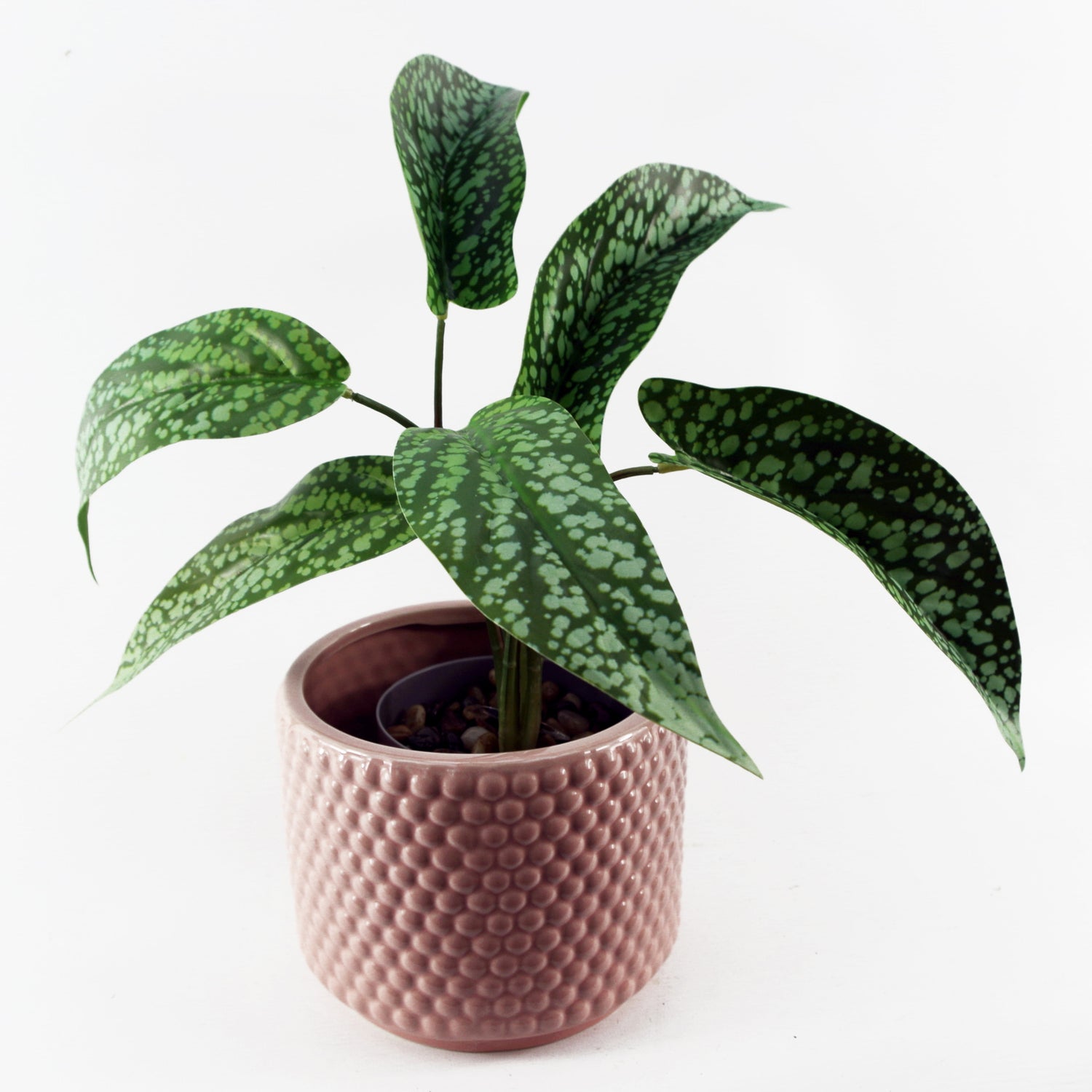 Artificial Spotted Plant | Spotted Plant | Everlasting Greenery Co.