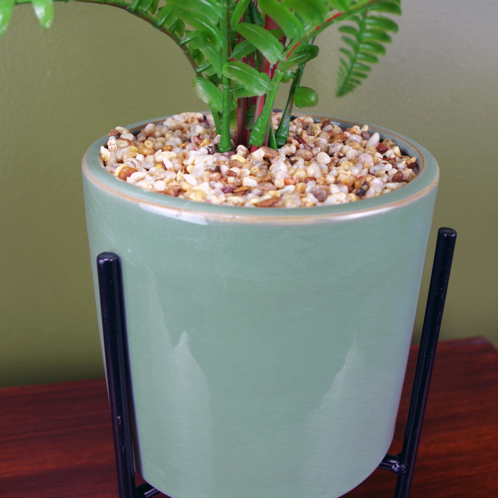 Ceramic Fern Plant | Small Fern Plant | Everlasting Greenery Co.