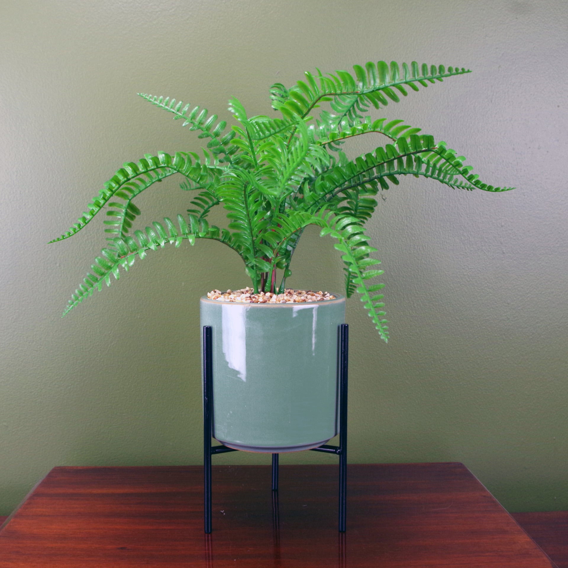 Ceramic Fern Plant | Small Fern Plant | Everlasting Greenery Co.