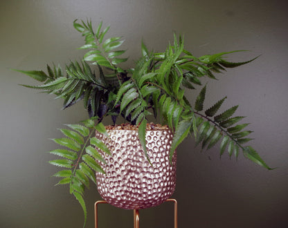 Metal Stand Fern Plant | House Fern Plant | Everlasting Greenery Co.