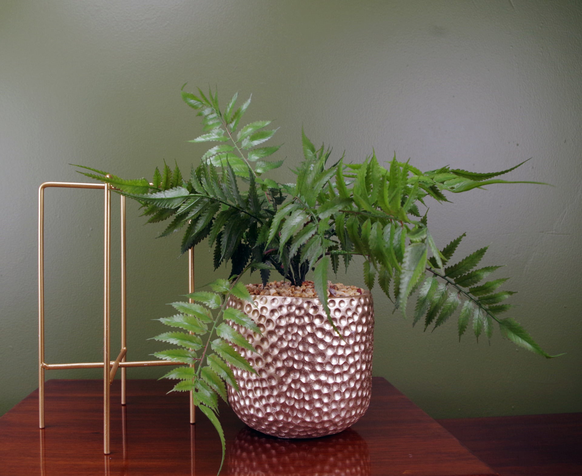 Metal Stand Fern Plant | House Fern Plant | Everlasting Greenery Co.