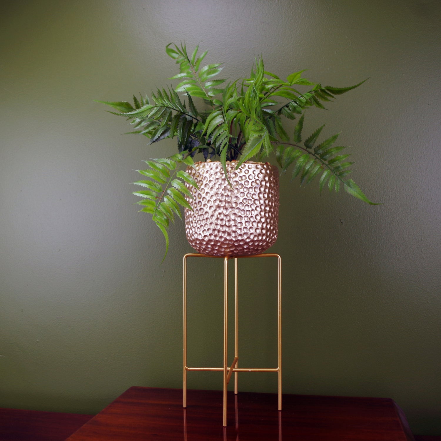 Metal Stand Fern Plant | House Fern Plant | Everlasting Greenery Co.