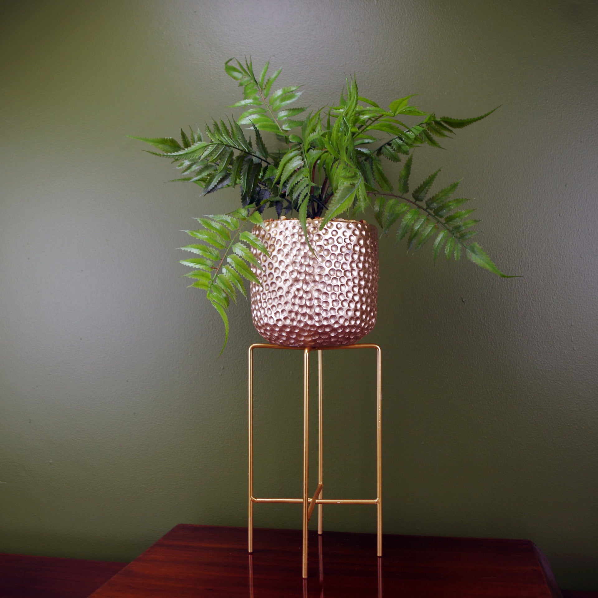 Metal Stand Fern Plant | House Fern Plant | Everlasting Greenery Co.