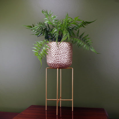 Metal Stand Fern Plant | House Fern Plant | Everlasting Greenery Co.