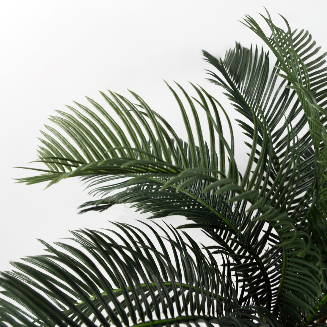 Artificial Cycas Palm Plant | Cycas Plant | Everlasting Greenery Co.