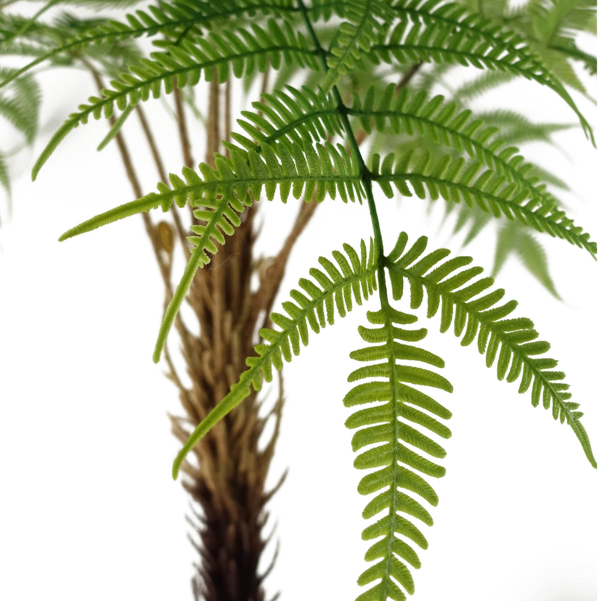 Large Fern Plant | Artificial Fern Tree | Everlasting Greenery Co.