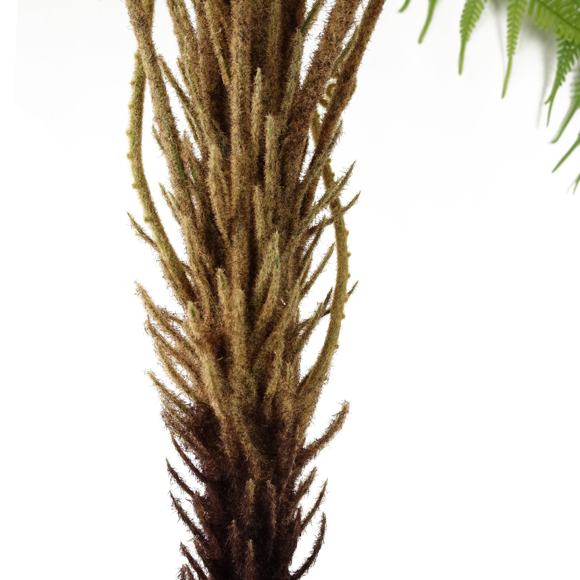 Large Fern Plant | Artificial Fern Tree | Everlasting Greenery Co.