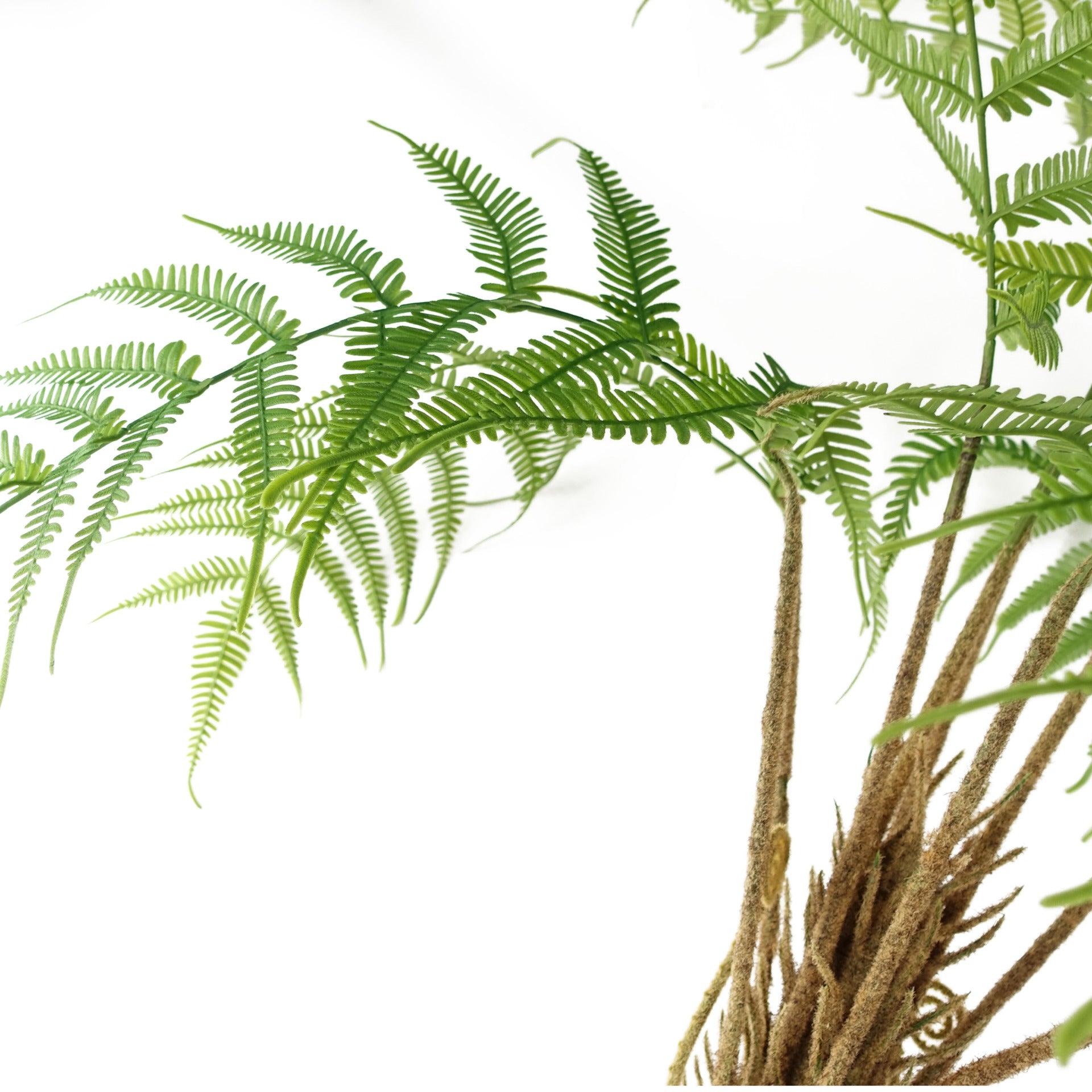 Large Fern Plant | Artificial Fern Tree | Everlasting Greenery Co.