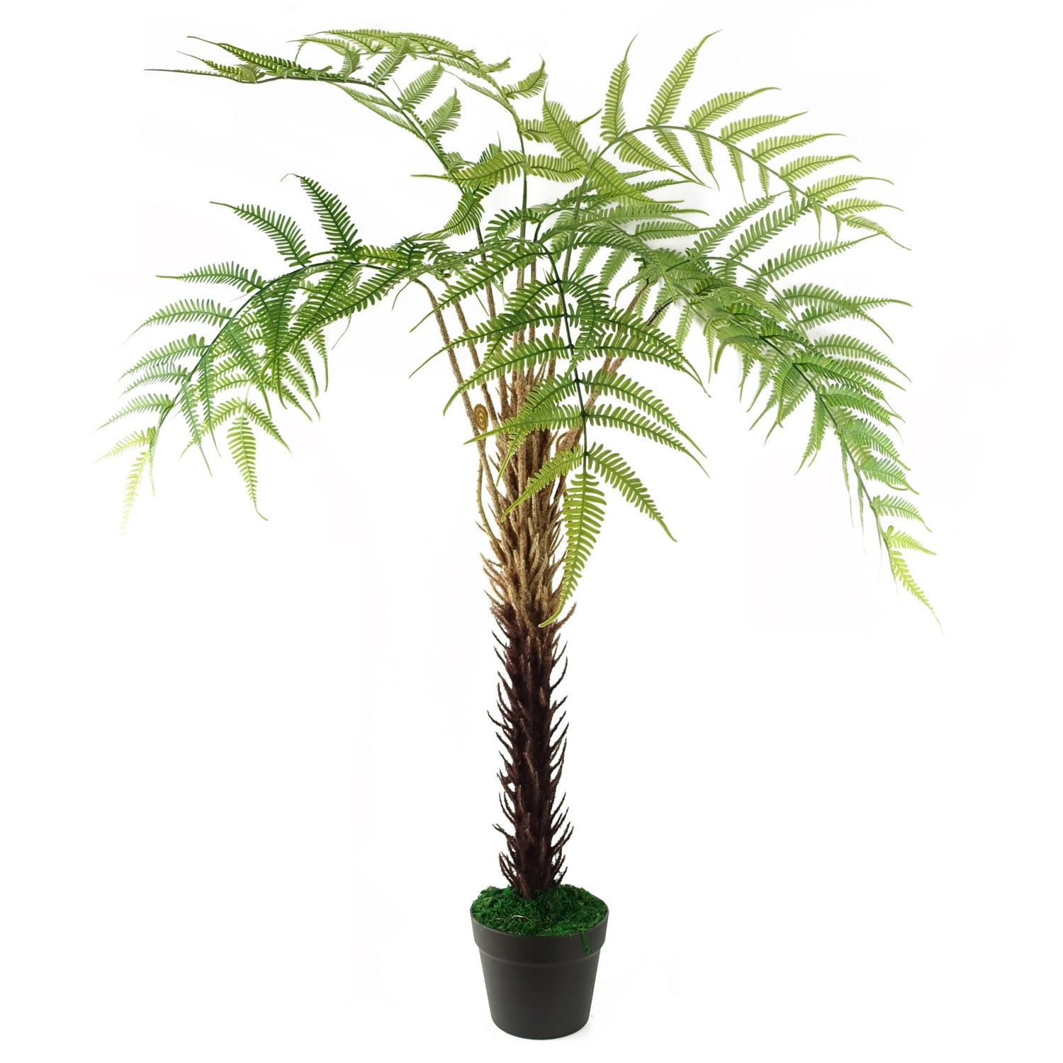 Large Fern Plant | Artificial Fern Tree | Everlasting Greenery Co.