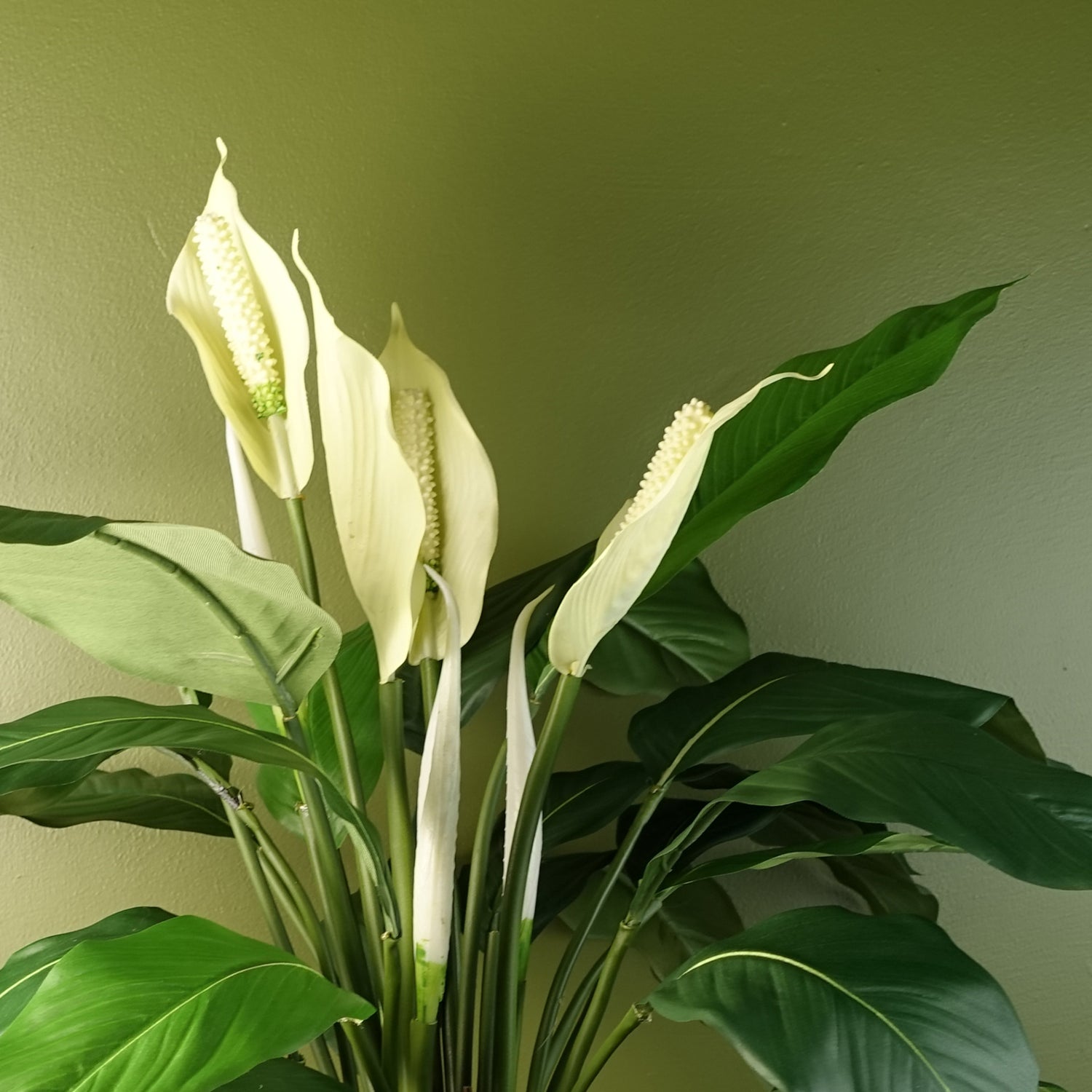 Artificial Lily White Plant | Lily White Plant | Everlasting Greenery Co.