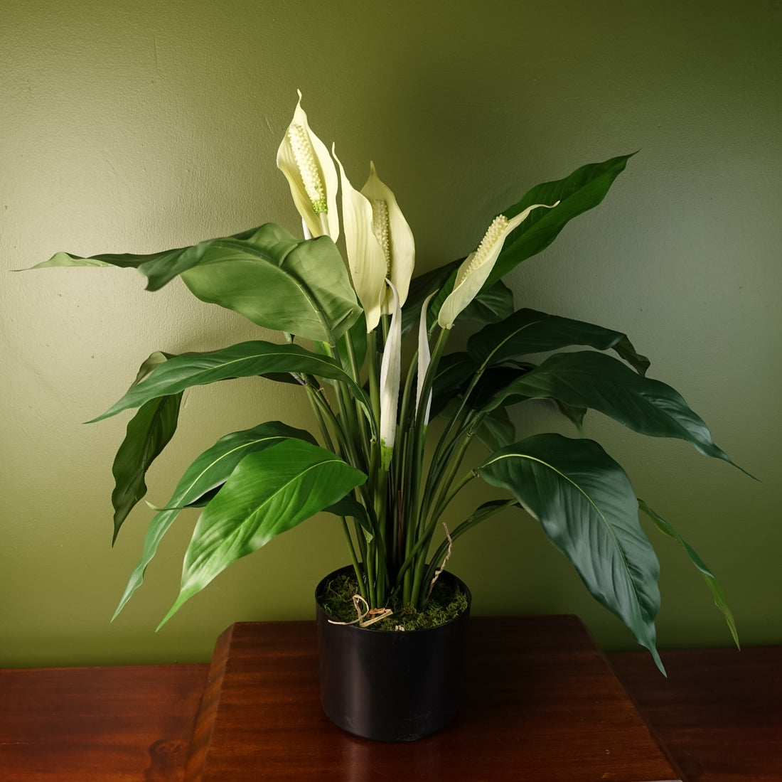 Artificial Lily White Plant | Lily White Plant | Everlasting Greenery Co.