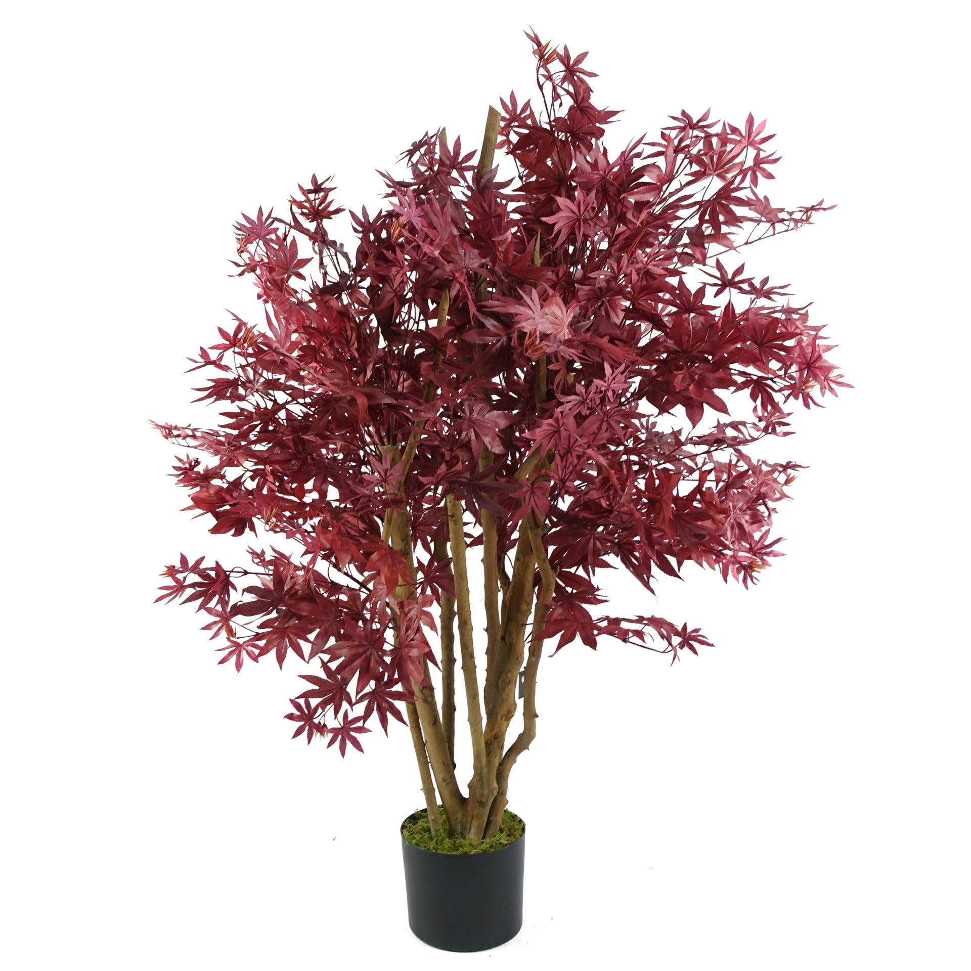 Artificial Red Maple Tree | Red Maple Tree | Everlasting Greenery Co.