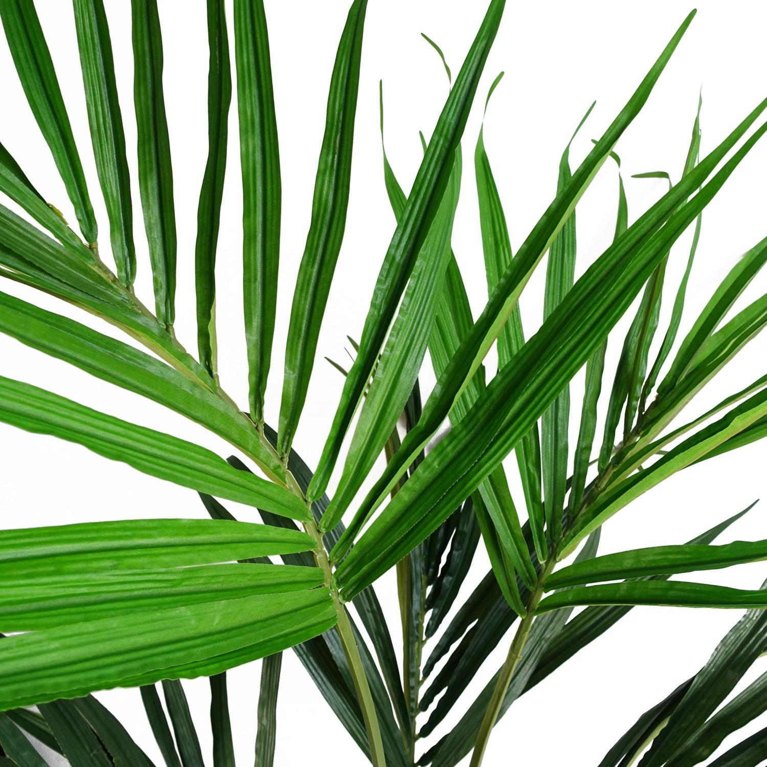 Kentia Palm Tree | Artificial Kentia Tree | Everlasting Greenery Co.