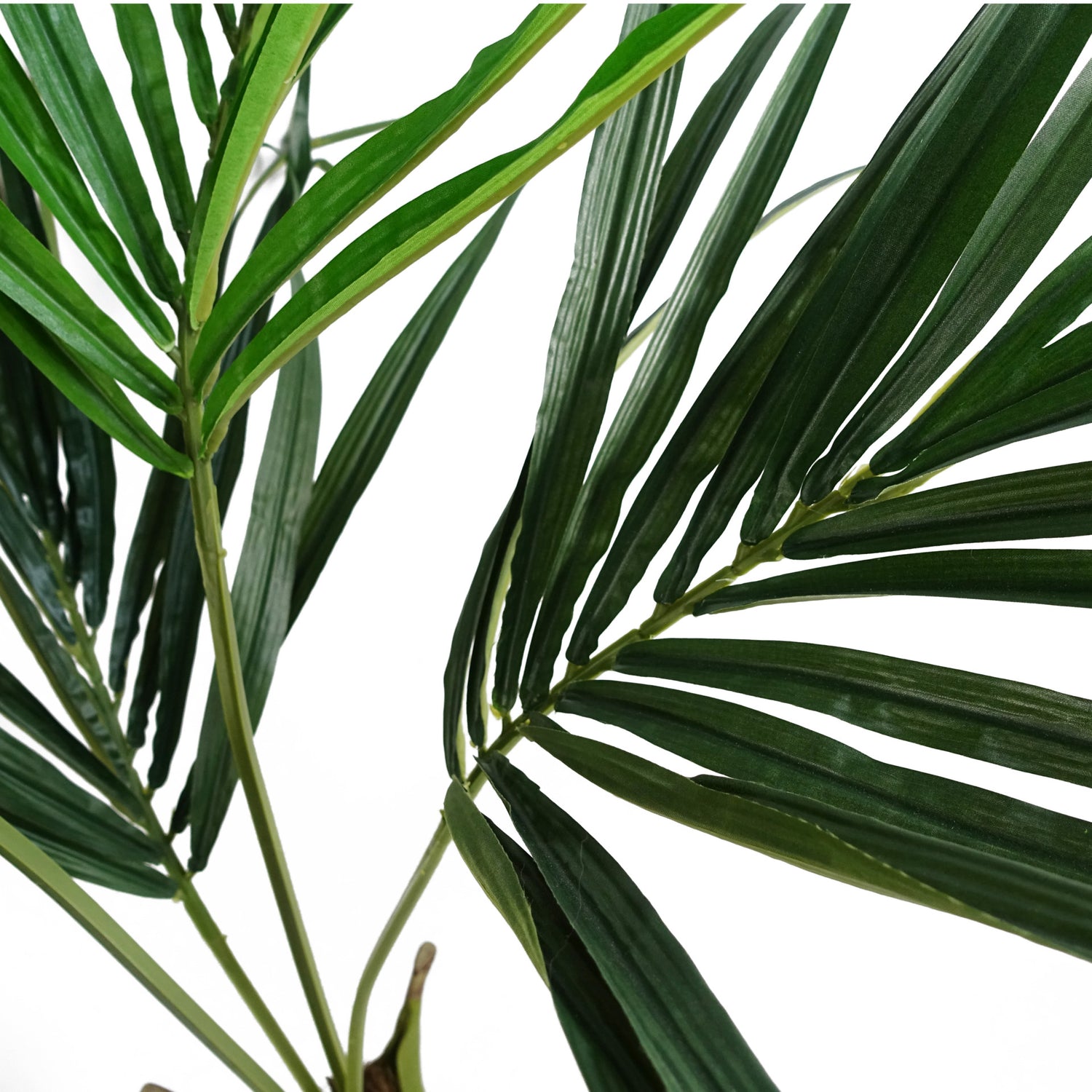 Kentia Palm Tree | Artificial Kentia Tree | Everlasting Greenery Co.