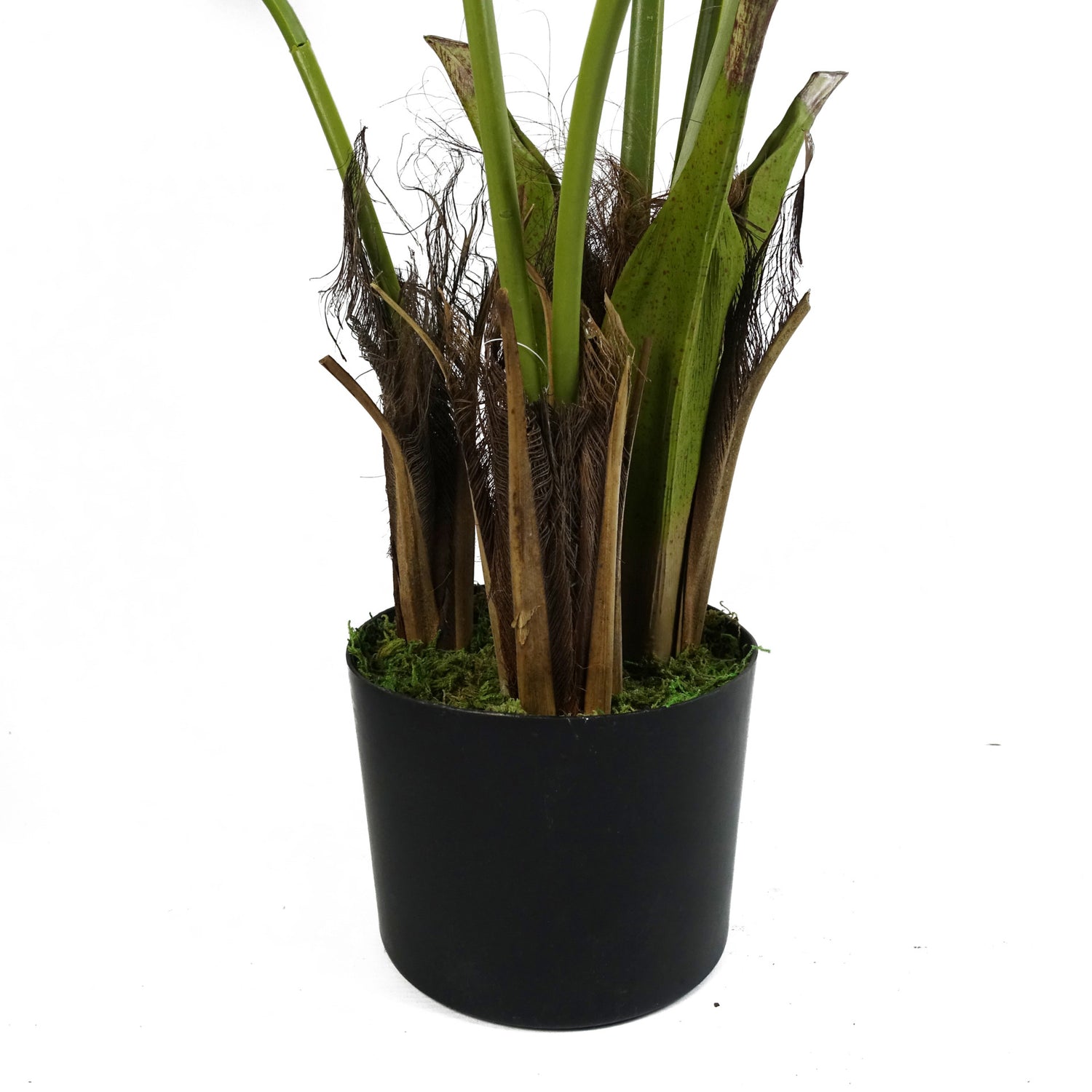 Kentia Palm Tree | Artificial Kentia Tree | Everlasting Greenery Co.