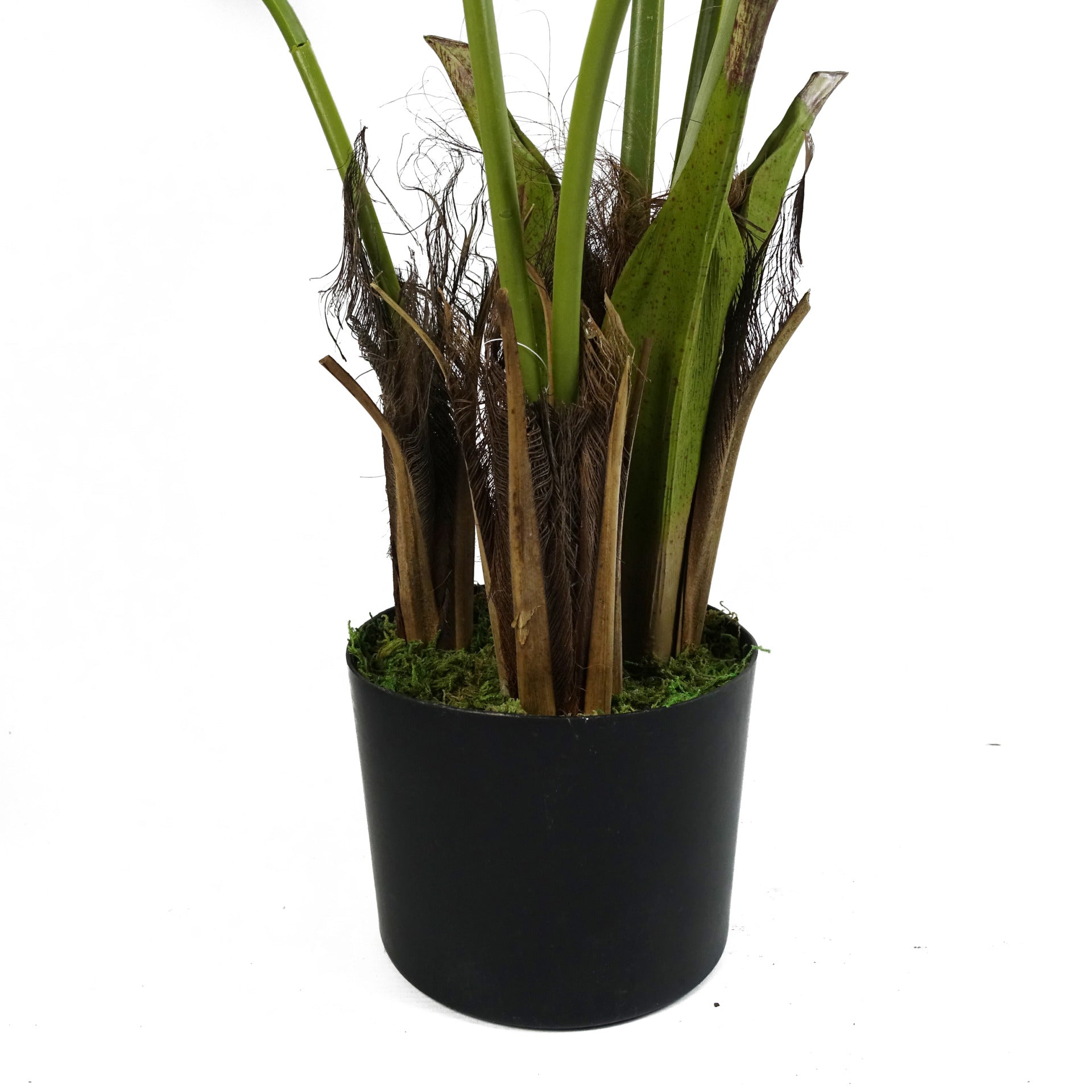 Kentia Palm Tree | Artificial Kentia Tree | Everlasting Greenery Co.