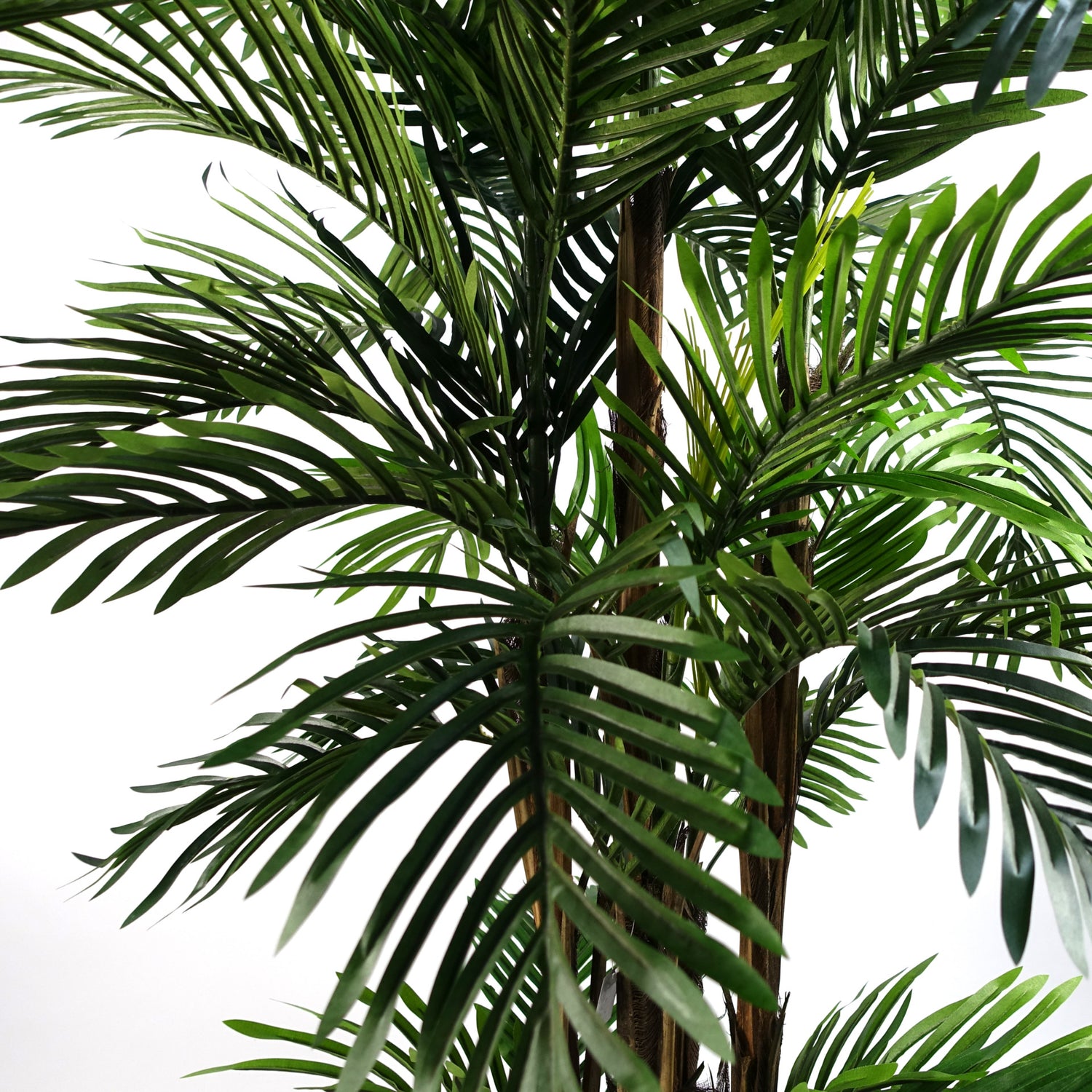 Artificial Palm Tree | Faux Areca Tree | Everlasting Greenery Co.