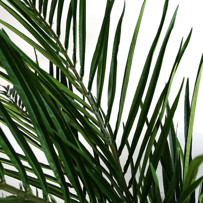 Areca Palm Tree | Areca Artificial Tree | Everlasting Greenery Co.