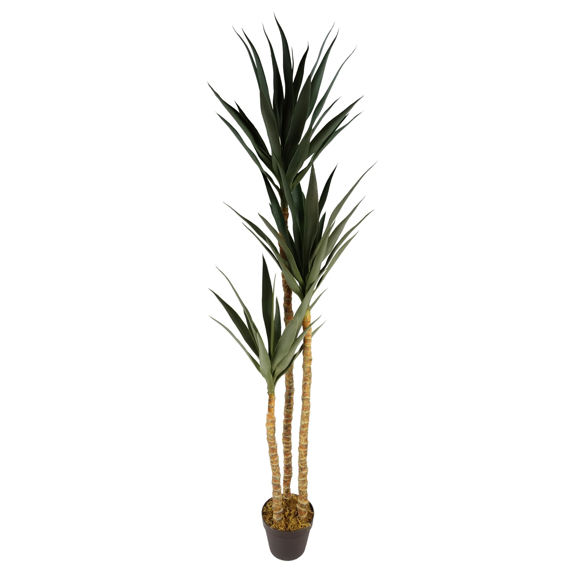 Triple Yucca Tree | Artificial Yucca Tree | Everlasting Greenery Co.