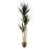 Triple Yucca Tree | Artificial Yucca Tree | Everlasting Greenery Co.