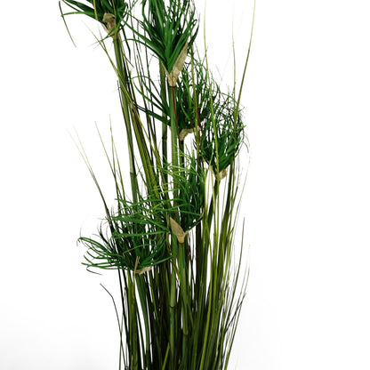 Ornamental Grass Plant | Ornamental Plant | Everlasting Greenery Co.