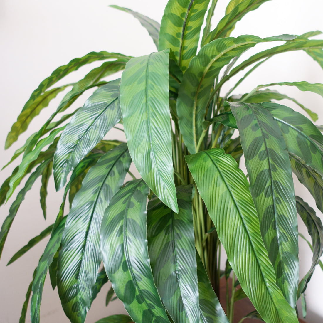 Faux Calathea Plant | Fake Calathea Plant | Everlasting Greenery Co.