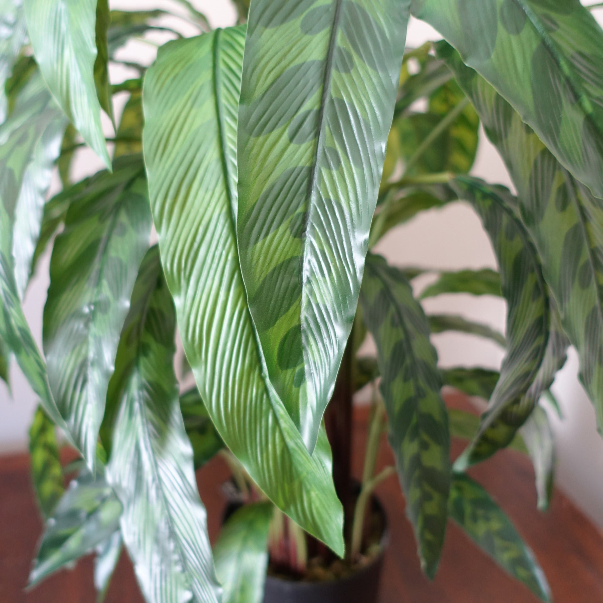 Faux Calathea Plant | Fake Calathea Plant | Everlasting Greenery Co.