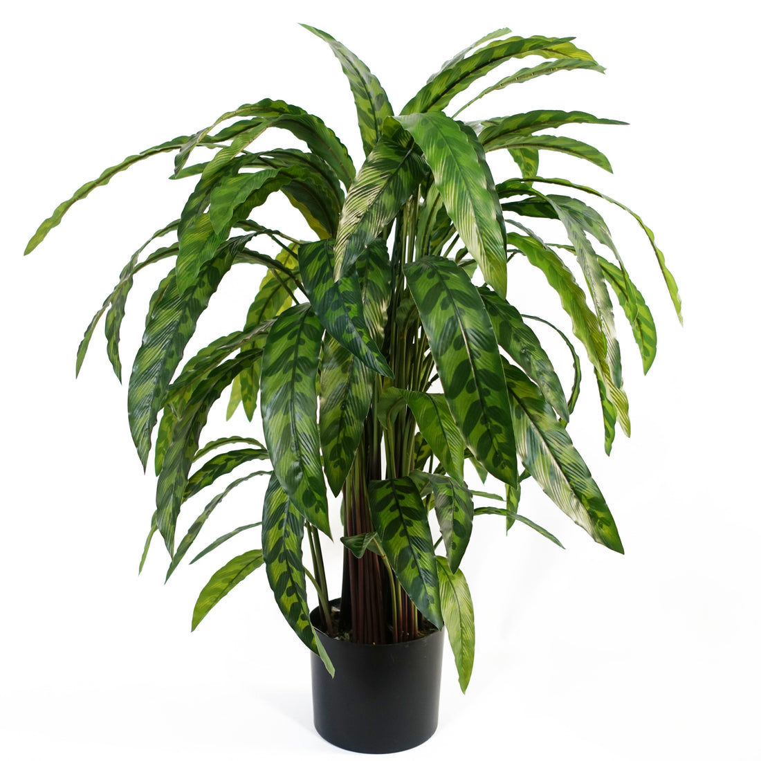 Faux Calathea Plant | Fake Calathea Plant | Everlasting Greenery Co.