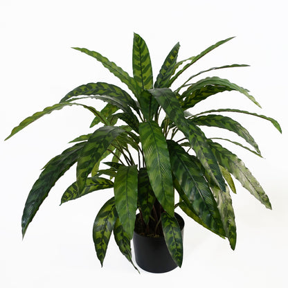 Artificial Calathea Plant | Calathea Plant | Everlasting Greenery Co.